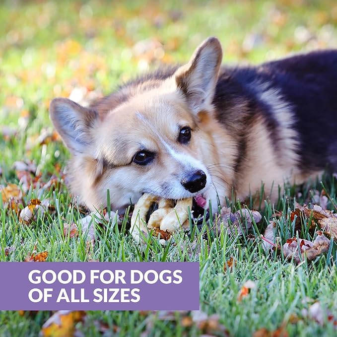 Collagen Chews for Dogs Pretzels (3 Pack, Real Duck) - Highly Digestable and Long Lasting Dog Chew or Treat for All Dog Breeds