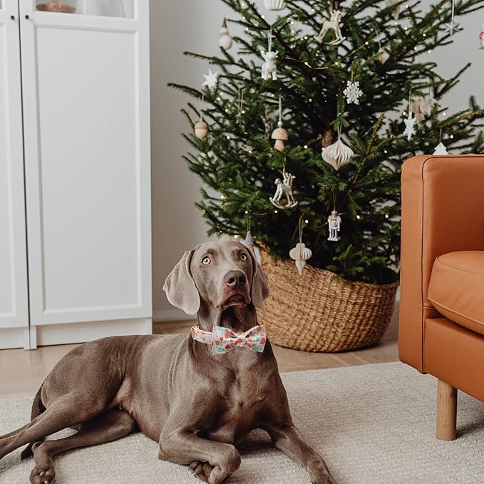 Halloween Dog Collar Bow MR. CHUBBYFACE Adjustable Girl Boy Dog Collar Bow Tie Cute Pumpkin Dog Collar for Small Medium Large Dogs