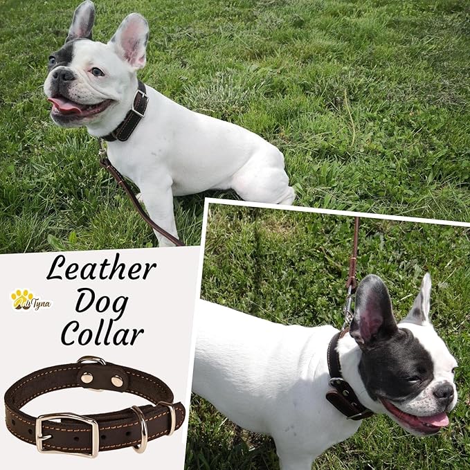 Heavy Duty Black Leather Dog Collar - Soft and Strong Dog Collar for Puppy or Small Dogs (Small: Fit 10" - 14.5" Neck, Black)