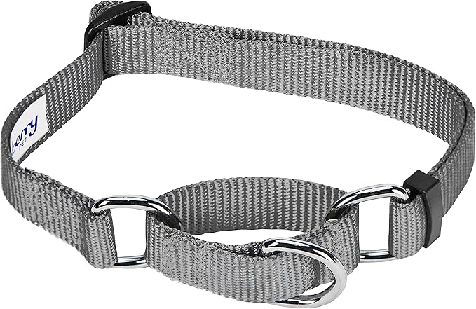 Blueberry Pet Essentials Martingale Safety Training Dog Collar, Flint Gray, Medium, Heavy Duty Nylon Adjustable Collars for Dogs