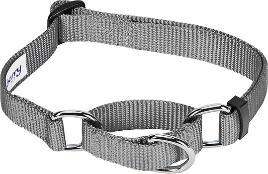 Blueberry Pet Essentials Martingale Safety Training Dog Collar, Flint Gray, Medium, Heavy Duty Nylon Adjustable Collars for Dogs