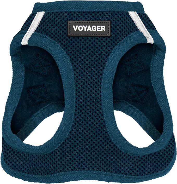 Voyager Step-In Air Dog Harness - All Weather Mesh, Reflective, No Pull Harness for Small, Medium Dogs, Cats - Secure with Hook & Loop Fastener, Buckle, Double D-Rings - Blue, XXXS