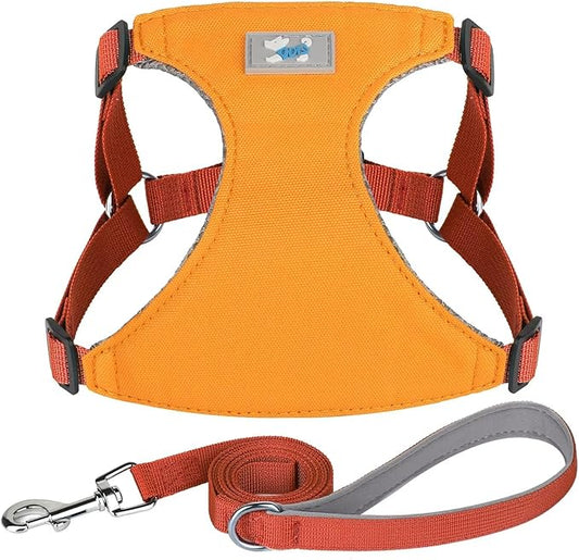 Beirui Small Dog Harness and Leash Set, No Pull Step-in Harness for Puppy, Lightweight Air Mesh Pet Harness for Small Dogs (Yellow, XS)