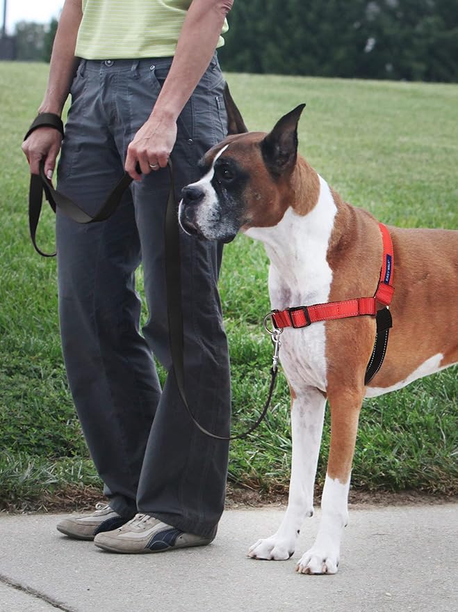 PetSafe Easy Walk Deluxe Dog Harness, No Pull Dog Harness – Perfect for Leash & Harness Training – Stops Pets from Pulling and Choking on Walks – Medium, Rose