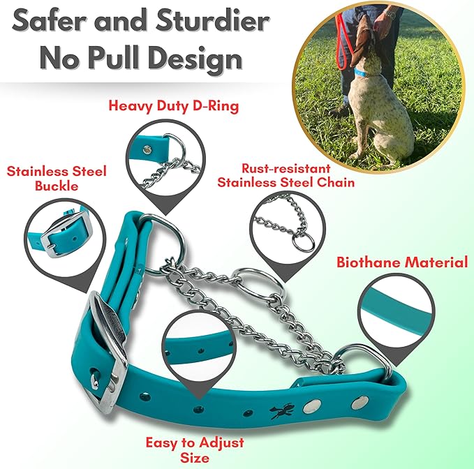 Martingale Collar for Dogs, Biothane, Stainless Steel Hardware, No Pull, Made in The USA, Professional Grade, Large, Teal