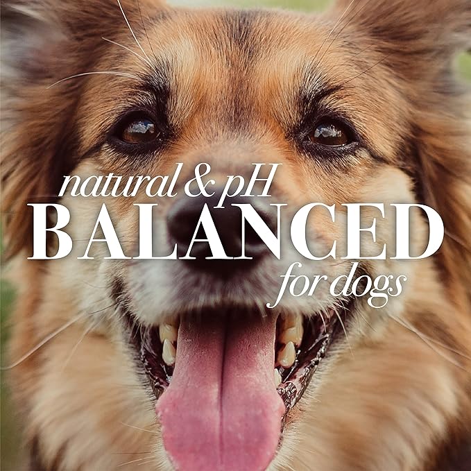 Burt's Bees for Pets Detangling Spray for Dogs with Lemon Oil and Linseed Oil, 6pk, 99.7% Natural Origin Formulas, Waterless Dog Shampoo - Gentle Dry Shampoo for Dogs, Best Dog Shampoo, 6pk, 10 oz