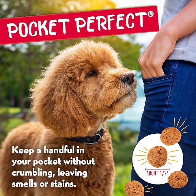 Charlee Bear Dog Treats Small Dogs Training Treats, Crunchy Low Calorie Grain Free Dog Treats, USA Made, Best for Small-Medium Breeds, Puppy Training Treats, Chicken, Pumpkin, Apple, 2 Pack, 8oz Each