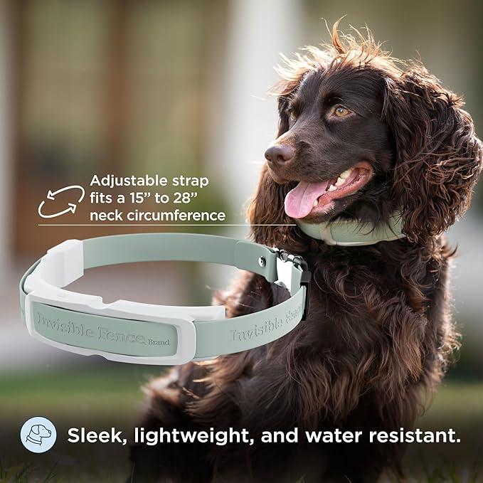 Invisible Fence GPS Dog Fence & Tracking Collar Bundle with Training Flags (White) & Treat Bag (Red), Wireless GPS Tracker Collar, for Medium & Large Dogs, Waterproof - 1 Year Subscription Included