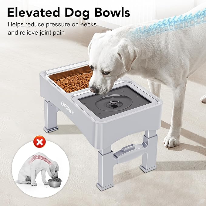 UPSKY 3-in-1 Elevated Dog Bowls: Slow Feeder, Adjustable Stand, No Spill Dispenser - Stainless Steel Food & Water Bowl for Small to Medium Dogs, White