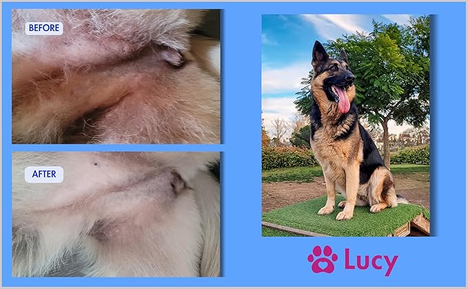 Lucy's Pet Skin Irritation Relief Shampoo - Soothes Rashes, Hot Spots, Skin Allergies, Pyoderma & More I Certified Organic Ingredients I Safe for Dogs & Cats I Unscented I 12oz