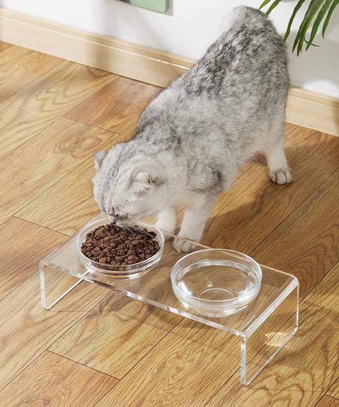 Acrylic Elevated Dog Cat Bowls Pet Feeder Double Bowl Raised Stand Comes with 2 Removable Glass Bowls and 2 Stainless Steel Bowls.Perfect for Cats Puppies Small Dogs