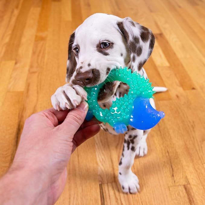 Petstages Cutie Chewies Hedgehog Dog Chew Toy