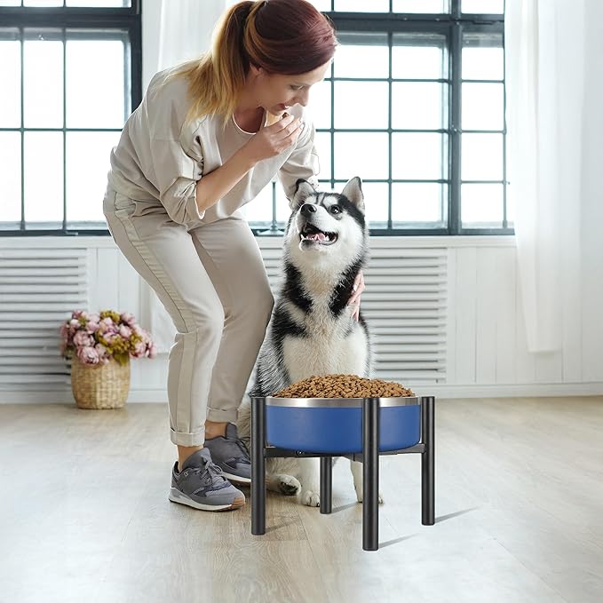 Single Dog Bowl Stand Raise 8" Tall - Without Bowls, Adjustable Wide 6-10" Lifted Pet Food Table,Dog Bowl Holder Elevated for Medium Small Dogs Breed (Anti-Slip)