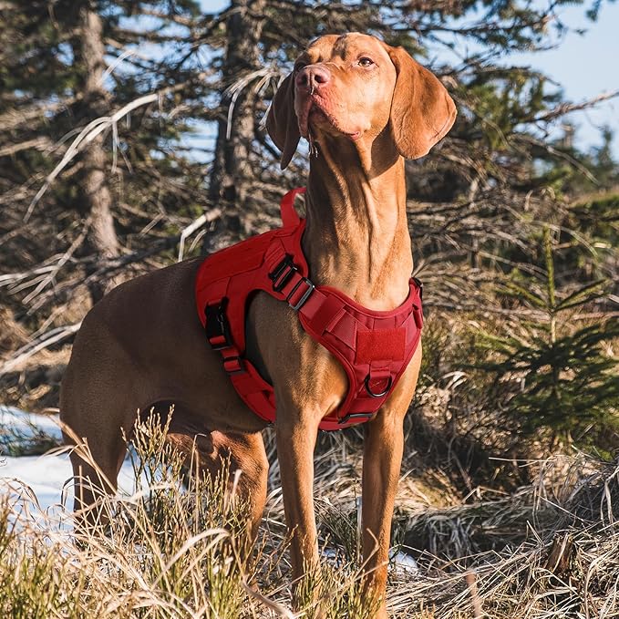 rabbitgoo Tactical Dog Harness for Large Dogs, Heavy Duty Dog Harness with Handle, No-Pull Service Dog Vest Large Breed, Adjustable Military Dog Vest Harness for Training Hunting Walking, Red, S