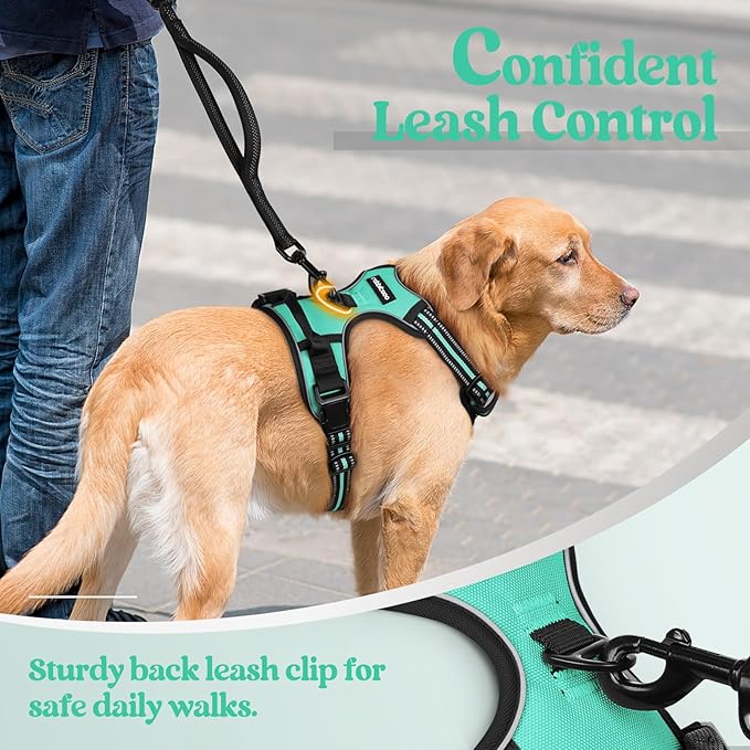 rabbitgoo Dog Harness, No-Pull Pet Harness with 2 Leash Clips, Adjustable Soft Padded Dog Vest, Reflective No-Choke Pet Oxford Vest with Easy Control Handle for Large Dogs, Turquoise, L