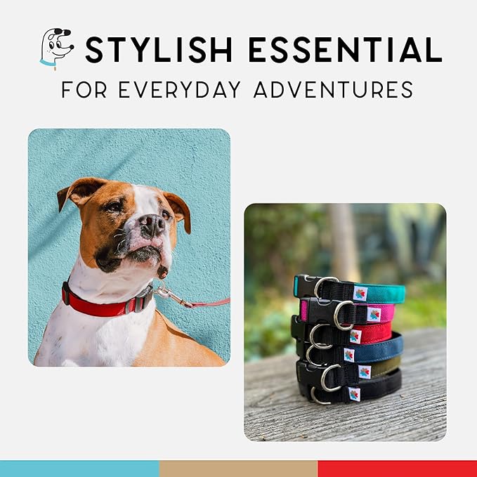 Dog Collar, Lightweight, Heavy Duty Dog Collar with Buckle, Fabric Pet Collar, Breathable & Adjustable Puppy Collar, Dog Collar for Large Dogs (Red, Large - 14-24 Inch) - Wildebeest