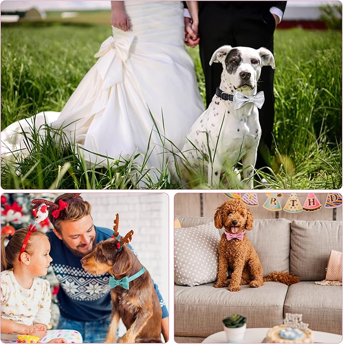 Bling Bow Tie Dog Collar and Leash Set, Cute Black Boy Dog Collar with Bow and 5ft Leash for Small Medium Dogs Daily Walking or Holiday Party (Neck fit 11-16’’)