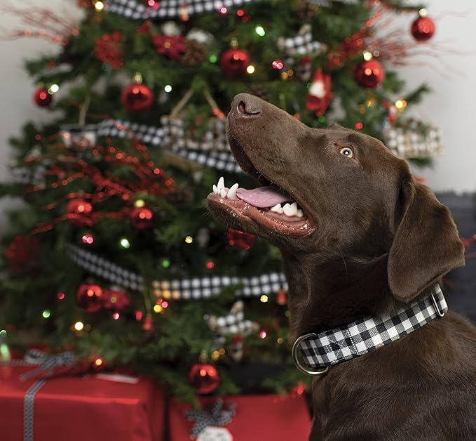 Country Brook Petz - Deluxe Black & White Buffalo Plaid Dog Collar - Made in The U.S.A. - Plaid and Argyle Collection Featuring Charming Designs (5/8 Inch, Small)