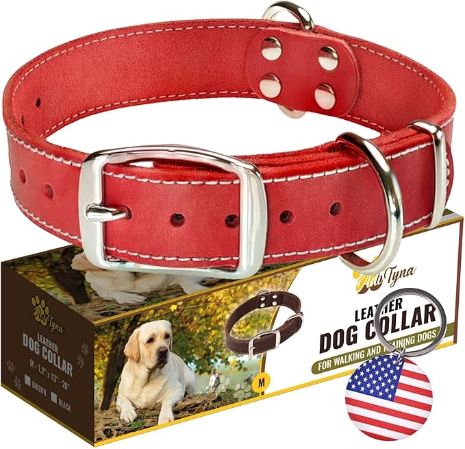 ADITYNA Heavy Duty Leather Dog Collar - Soft and Strong Red Dog Collar for Medium Dogs (Medium: Fit 13" - 20" Neck, Red)