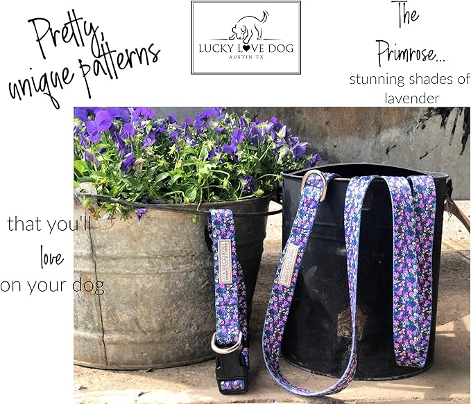 Lucky Love Dog, Comfortable, Soft, Cute Female Dog Collar for Tiny Dogs, Black & Purple Floral Print, Adjustable Nylon Collar, Primrose, XS