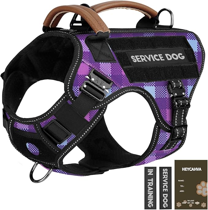 Tactical Dog Harness - HEYCAHVA Service Dog Vest Full Metal Buckles Dog Vest for Medium Large Dog Reflective No Pull Dog Harnesses Vest with Leather Handle, Hook & Loop for Hiking Training (Purple, M)
