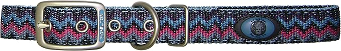 Hamilton Double Thick Nylon Deluxe Dog Collar with Brushed Hardware Finish, 1-Inch by 22-Inch, Ocean Weave