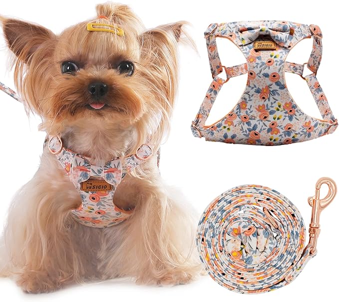 No Pull Small Dog Harness and Leash Set, Soft Adjustable Floral Puppy Dog Harness Vest for Extra Small-Medium Pet Dogs and Cat, Orange Flower, Medium