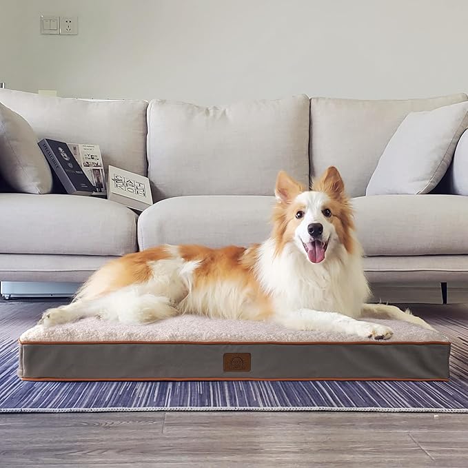 Orthopedic Dog Bed for Large Dogs, Large Dog Bed with Removable Waterproof Cover and Machine Washable Dog Bed, Egg Crate Foam Pet Bed Mat, L(35"X22"X3"), Light Grey