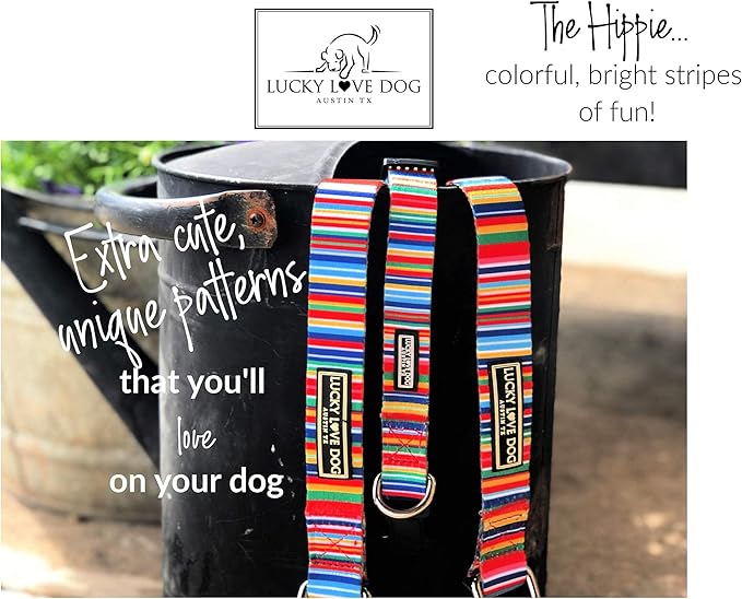 Lucky Love Dog Combo Set, Rainbow Big Dog Collar & Leash Set for Large Dogs, Colorful Matching Collar and Leash Set for Girl or Boy Dogs, Rainbow Stripes, Hippie Combo, Large