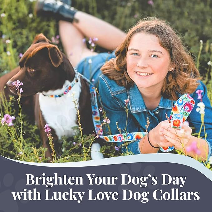 Lucky Love Dog - Adjustable Dog Collar with Easy Click Buckle for Small to Large Dogs, Durable, & Comfortable Collar for Male & Female Dogs, Pet Collar for Puppies & Adult Dogs - Ladybird, Medium