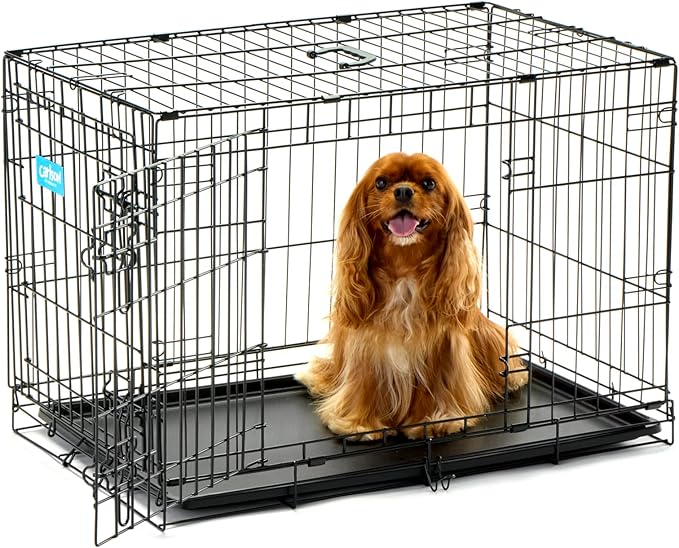 Carlson Secure and Compact Double Door Metal Dog Crate, Medium with Divider Panel