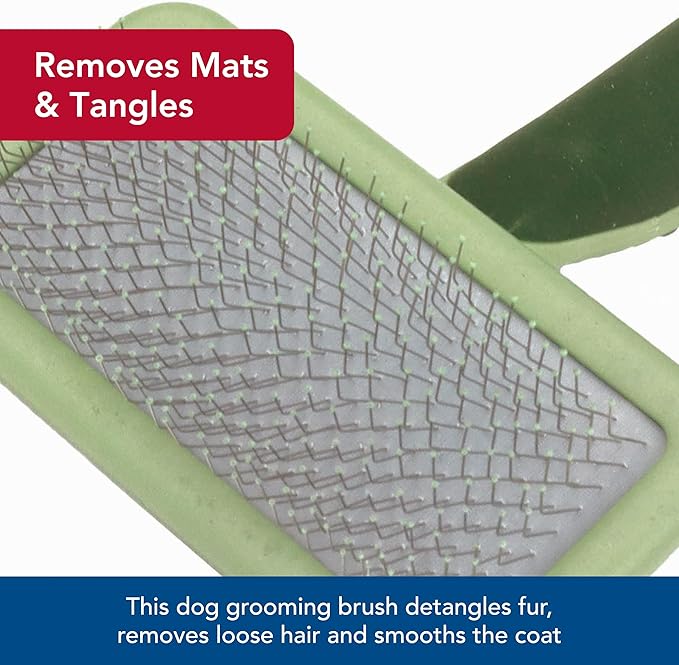 Coastal Pet Safari Dog Soft Slicker Brush - Dog Grooming Brush for Shedding - for Dogs with Short, Medium and Long Hair - Medium - 6.25" x 3.5"