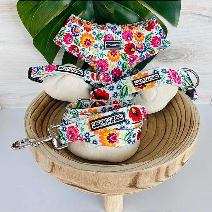 Lucky Love Dog Wide Dog Collar - Adjustable, Durable, Soft Webbing, & Comfortable 1.5 inch Wide Collar for Dogs Male and Female - in Ladybird Pattern with Strong Buckle, X-Large Size