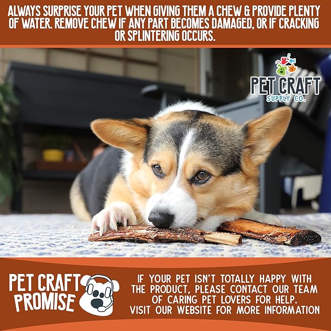 Pet Craft Supply All Natural Healthy Buffalo Rib Bones Dog Chews Treats for Aggressive Chewers Long Lasting Rawhide Free Premium Grade Slow Roasted for Small or Medium Dogs 10 Pack