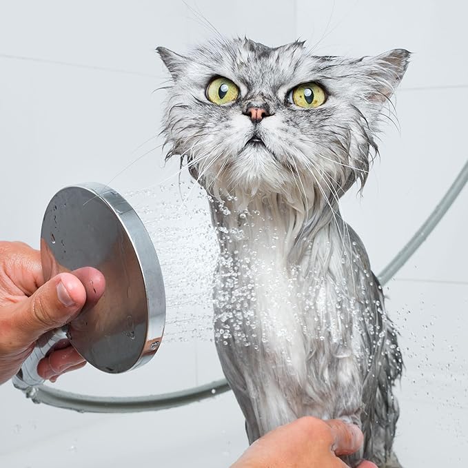 Eye Envy Moisturizing Pet Shampoo | Cleans, softens, add Shine | Glycerin enriched | Detergent Free | Gentle for Everyday use | Fragrance Free | Safe for Puppies and Kittens, 16oz