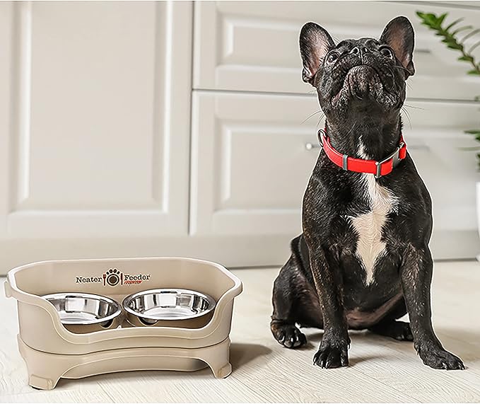 Neater Feeder Express Mess Proof Dog Bowls Elevated for Small Breeds Under 15 Lb, Made in USA, No Spill Raised Dog Food Bowl Stand, Stainless Steel Food and Water Bowl Set, Feeding Station, Almond