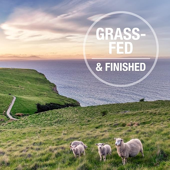 K9 Natural - Grain Free Freeze Dried Dog Treats - Beef Bites 1.76oz