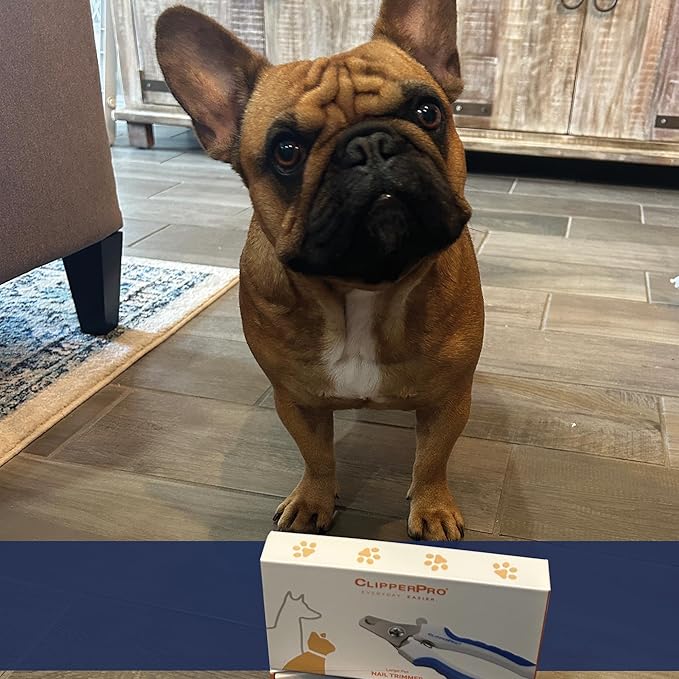 Azurro ClipperPro® Dog & Cat Pets Nail Clippers and Trimmers - Professional Pet Nail Clipper & Trimmers with Safety Guard to Avoid Over Cutting - Professional Grooming Tool for Pets