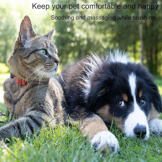 Cloud Shape Small Dog Grooming Brush - Soft Bristle Brush for Gentle Detangling & Massage - Ideal for Maltese, Shih Tzus, Yorkies, and Puppies - Portable & Durable Design, Purple