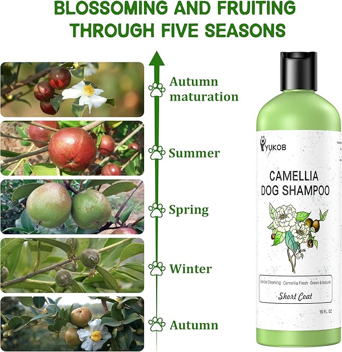 Dog Shampoo for Allergies & Itching -Natural Camellia Oil Pet Shampoo for Sensitive Skin, Deshedding, Smooth Coat for Smelly Dogs|Reduce Hair Loss & Odor Removal | 16 oz