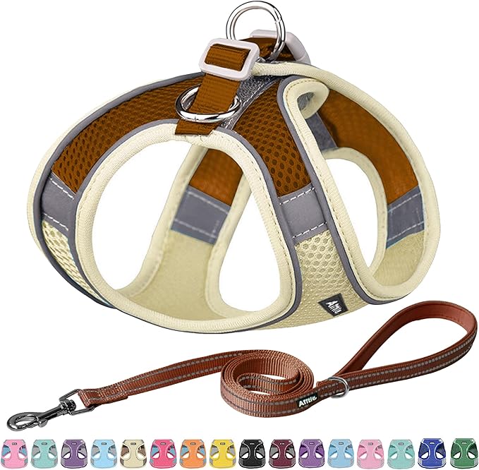 AIITLE Easy Walk Dog Harness and Leash Set - Pet Supply No Pull, Step in Adjustable Dog Harness with Padded Vest for Spring, Dog Harness No Choke Over, Easy to Put on Medium Dogs Beige L