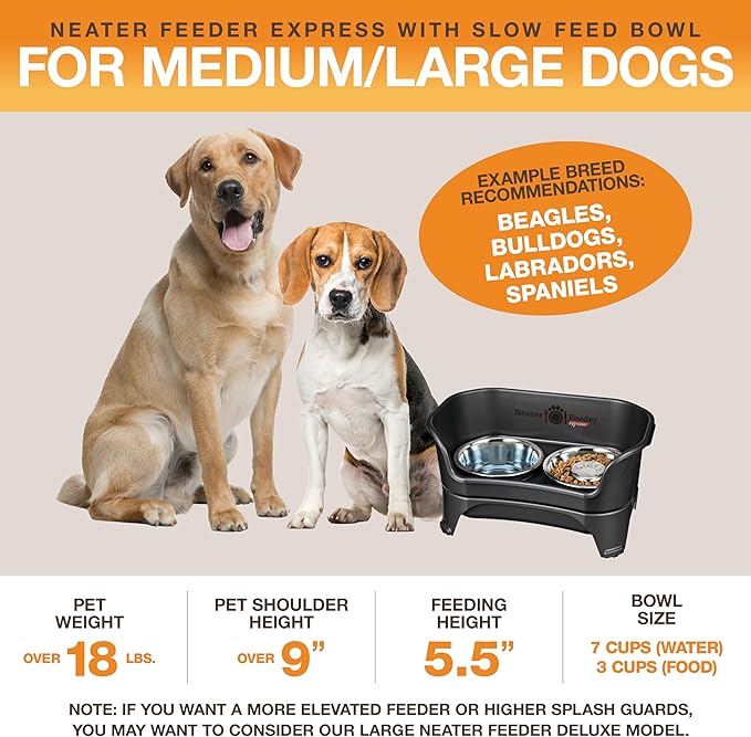 Neater Feeder - Express Model w/ Slow Feed Bowl - Mess-Proof Dog Bowls (M/L, Black) Made in USA – Elevated, No Spill, Non-Tip, Non-Slip, Raised Stainless Steel Food/Water Pet Bowls Aid Digestion