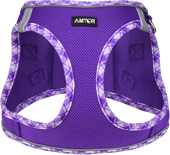 AMTOR Small Dog Harness with Leash Set, No Escape Easy Walk Puppy Harnesses for Training Walking, Step-in Reflective Soft Dogs Vest for XS S Medium Extra-Small Large Sized Dog(Purple,L)
