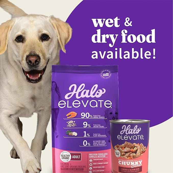 Halo Elevate Dry Dog Food, Healthy Grains Salmon Recipe, 20lb
