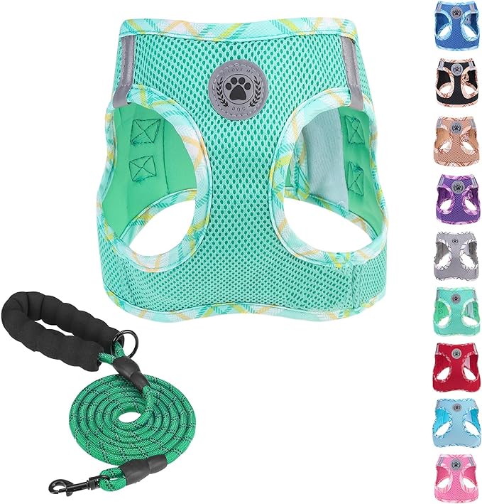 BEAUTYZOO Dog Harness and Leash Set for Small Medium Dogs,No Pull Step-in Harness for Puppy S M Sized Dogs and Cats,Air Mesh Adjustable Breathable Soft No Chock Escape Proof Vest Harnesses,Green M