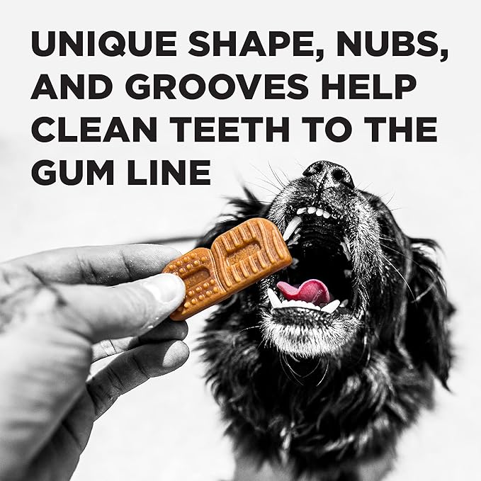 BIXBI Natural Dog Dental Care Chews Oral Health Dog Treats, for Mini/Small Size Dogs, 30 Treat Pack