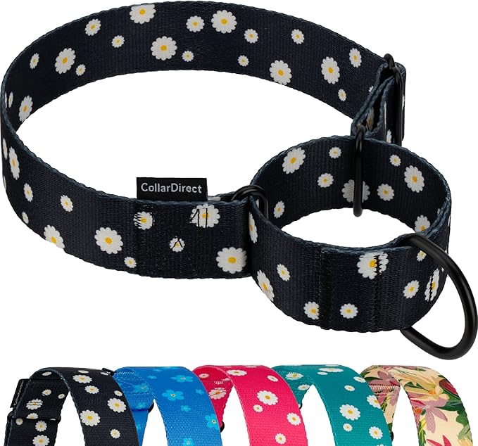 CollarDirect Martingale Collars for Dogs Heavy Duty Floral Pattern Female Safety Nylon Training Wide Collar Flower Design Large Medium (L, Neck Size 15"-20", Black)