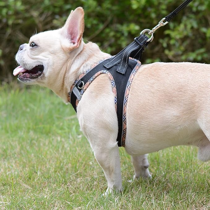 Mercano Soft Mesh Dog Harness and Leash Set, No-Chock Step-in Reflective Breathable Lightweight Easy Walk Escape Proof Vest Harnesses with Safety Buckle for Small Medium Dogs, Cats (Black Yellow, M)