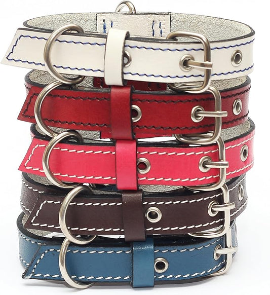 Premium Leather Collars with Stainless Steel Buckles (9"-12", White)