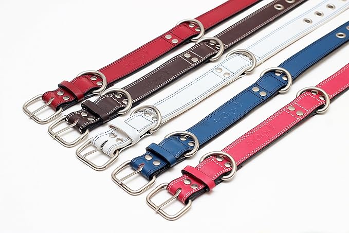 Premium Leather Collars with Stainless Steel Buckles (15"-18", Blue)